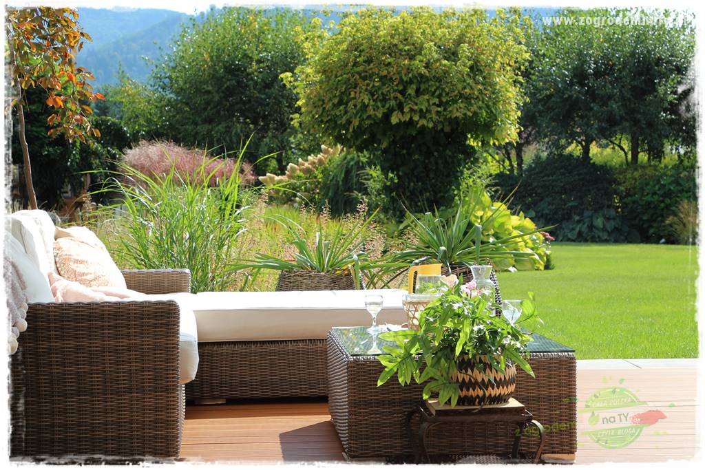 Jak zwalczyć mrówki skutecznie 18 a