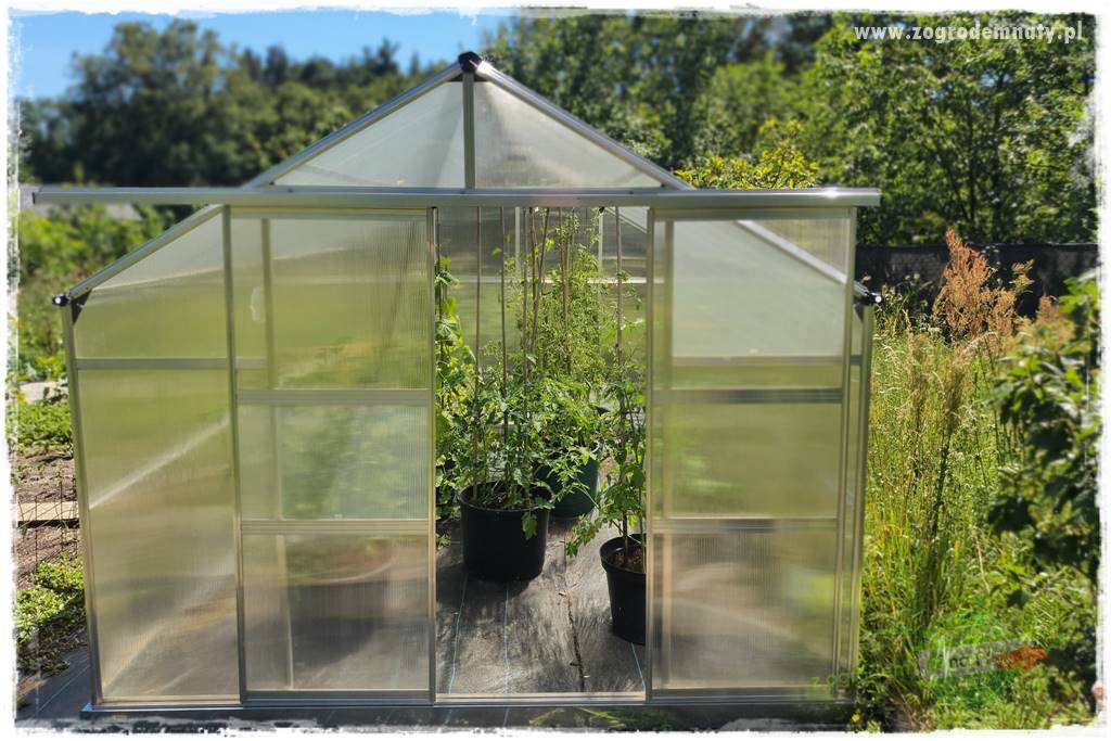 Jak zwalczyć mrówki skutecznie 20 Jak zwalczyć mrówki skutecznie 20