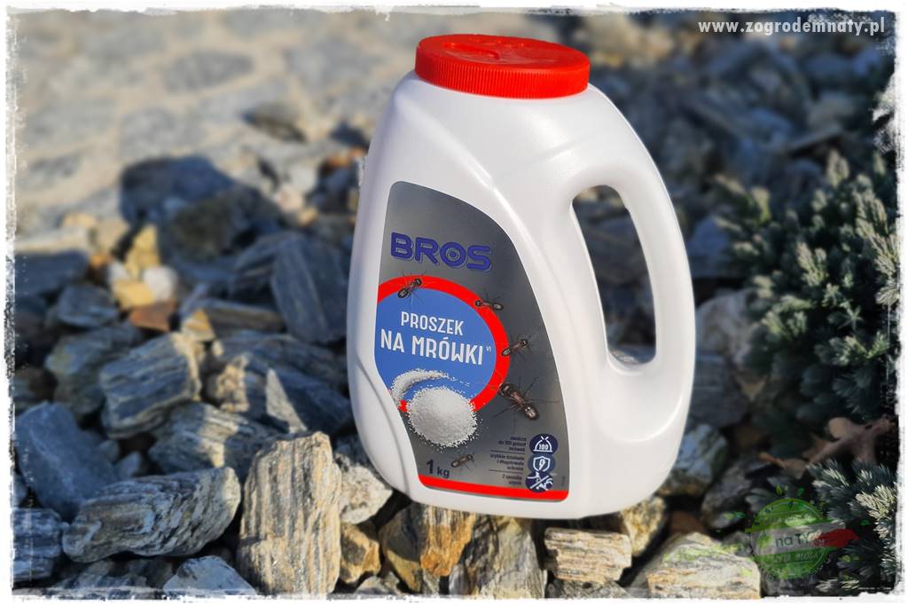 Jak zwalczyć mrówki skutecznie 32 Jak zwalczyć mrówki skutecznie 32