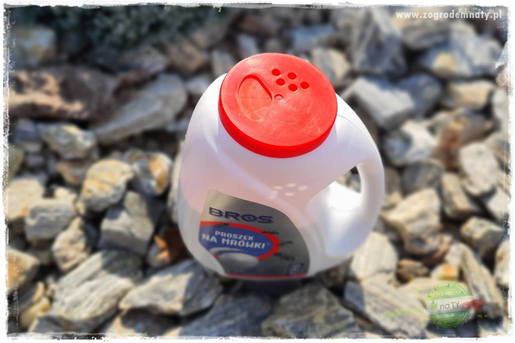 Jak zwalczyć mrówki skutecznie 33 Jak zwalczyć mrówki skutecznie 33