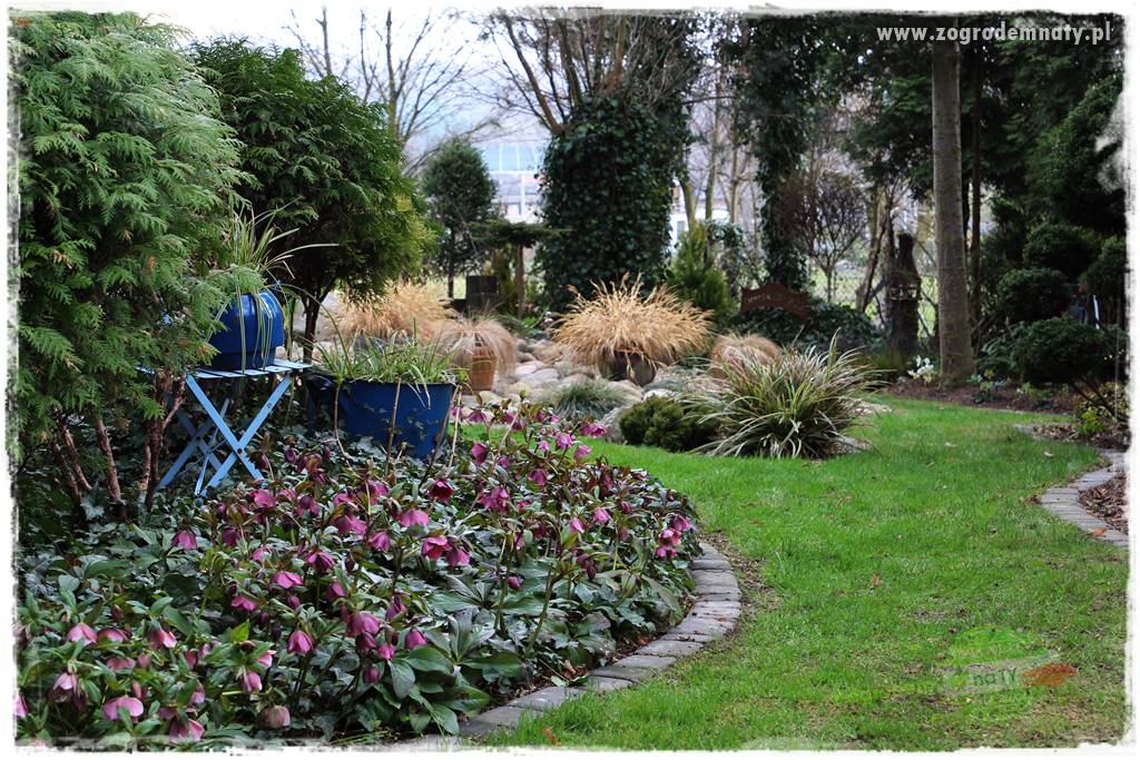 Jak zwalczyć mrówki skutecznie 6