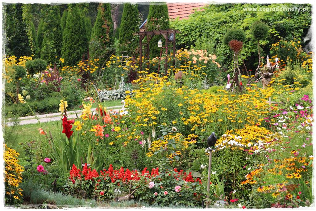 Kwiaty cebulowe sadzone wiosną 19