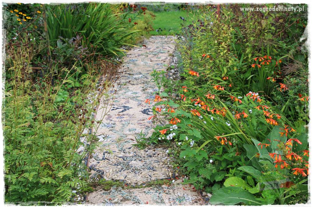 Kwiaty cebulowe sadzone wiosną 24