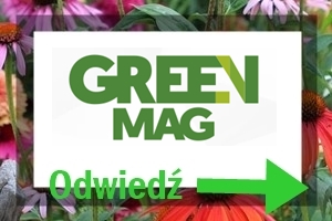 jadalne kwiaty 101 jadalne kwiaty 101