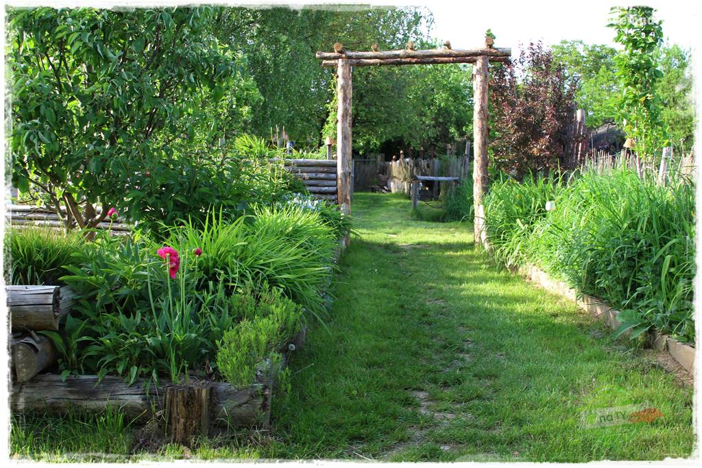 jak załatać dziury w trawniku 14 jak załatać dziury w trawniku 14