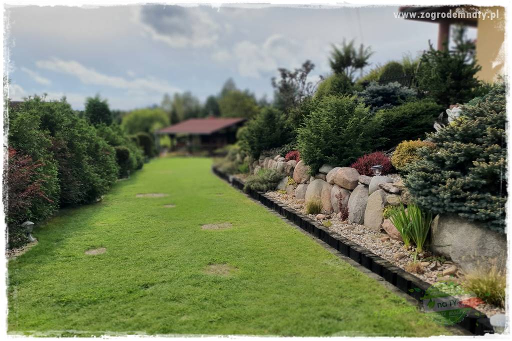 jak załatać dziury w trawniku 15 jak załatać dziury w trawniku 15