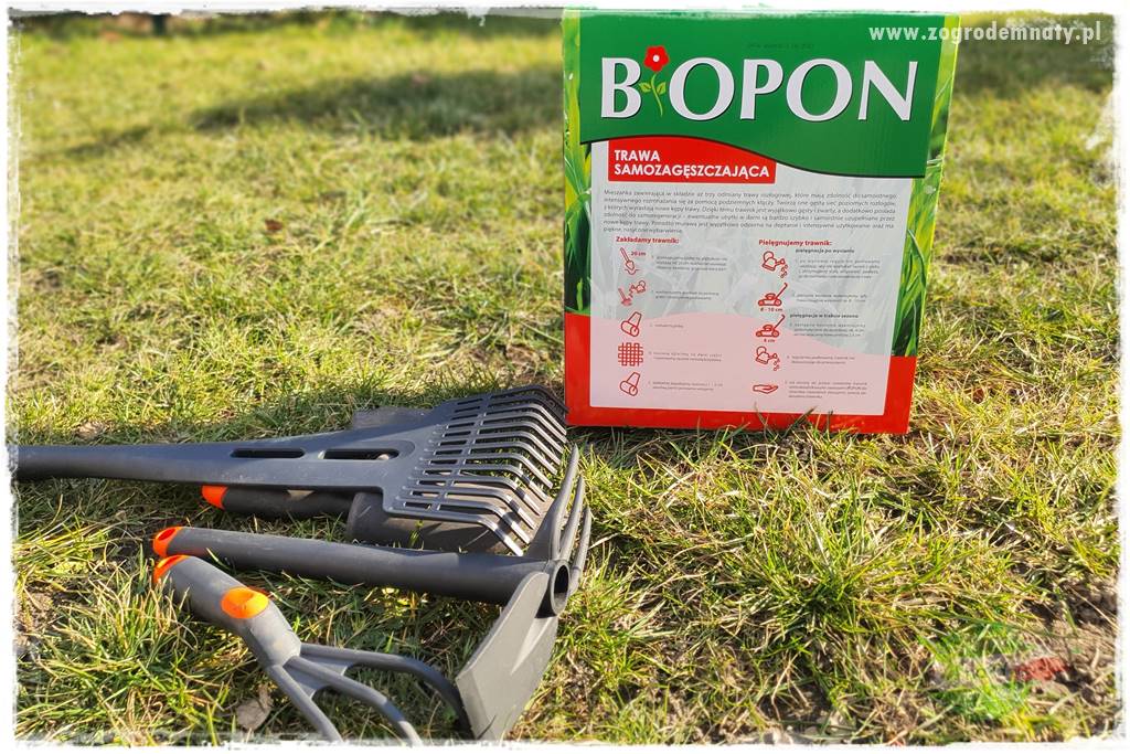 jak załatać dziury w trawniku 20 jak załatać dziury w trawniku 20