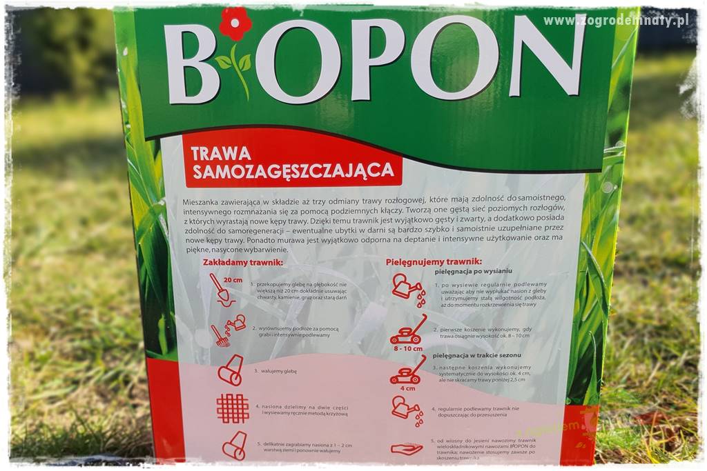 jak załatać dziury w trawniku 21 jak załatać dziury w trawniku 21