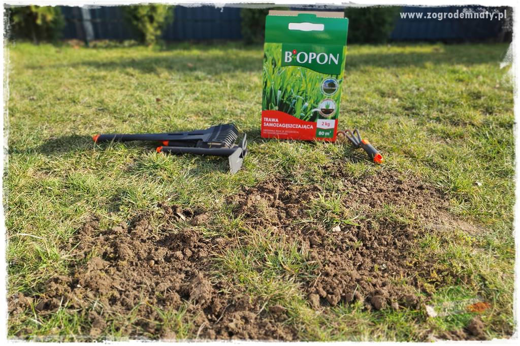 jak załatać dziury w trawniku 23