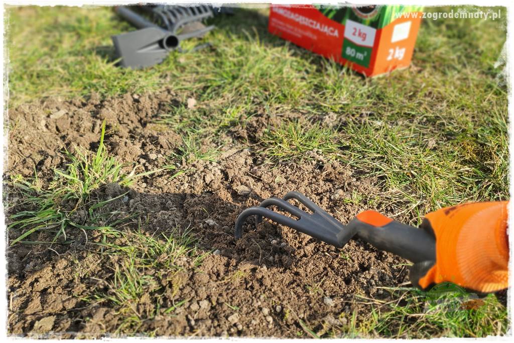 jak załatać dziury w trawniku 24 jak załatać dziury w trawniku 24