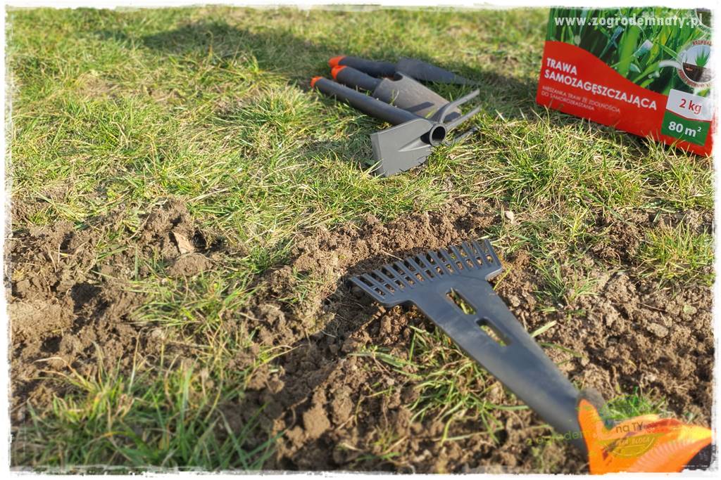 jak załatać dziury w trawniku 26 jak załatać dziury w trawniku 26