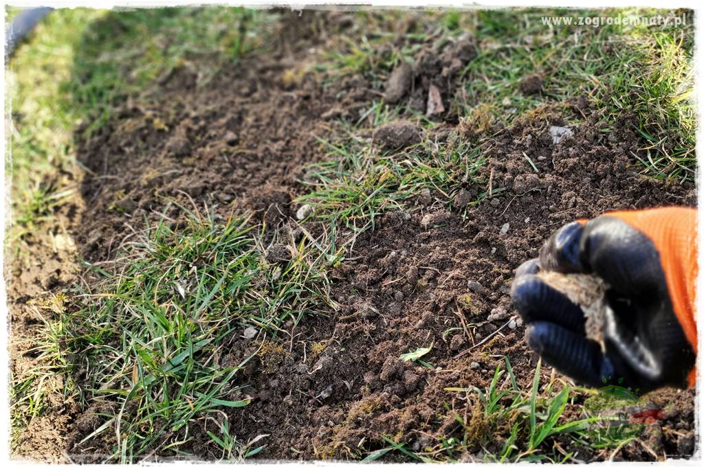 jak załatać dziury w trawniku 27 jak załatać dziury w trawniku 27