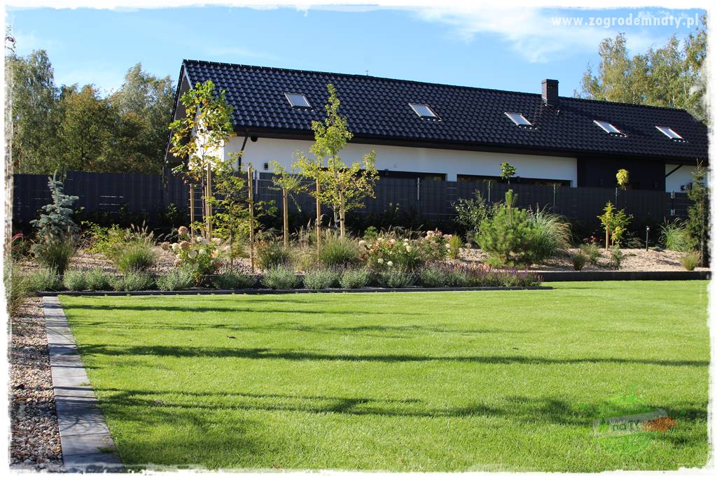 jak załatać dziury w trawniku 3 jak załatać dziury w trawniku 3