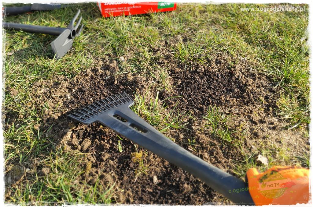 jak załatać dziury w trawniku 32 jak załatać dziury w trawniku 32