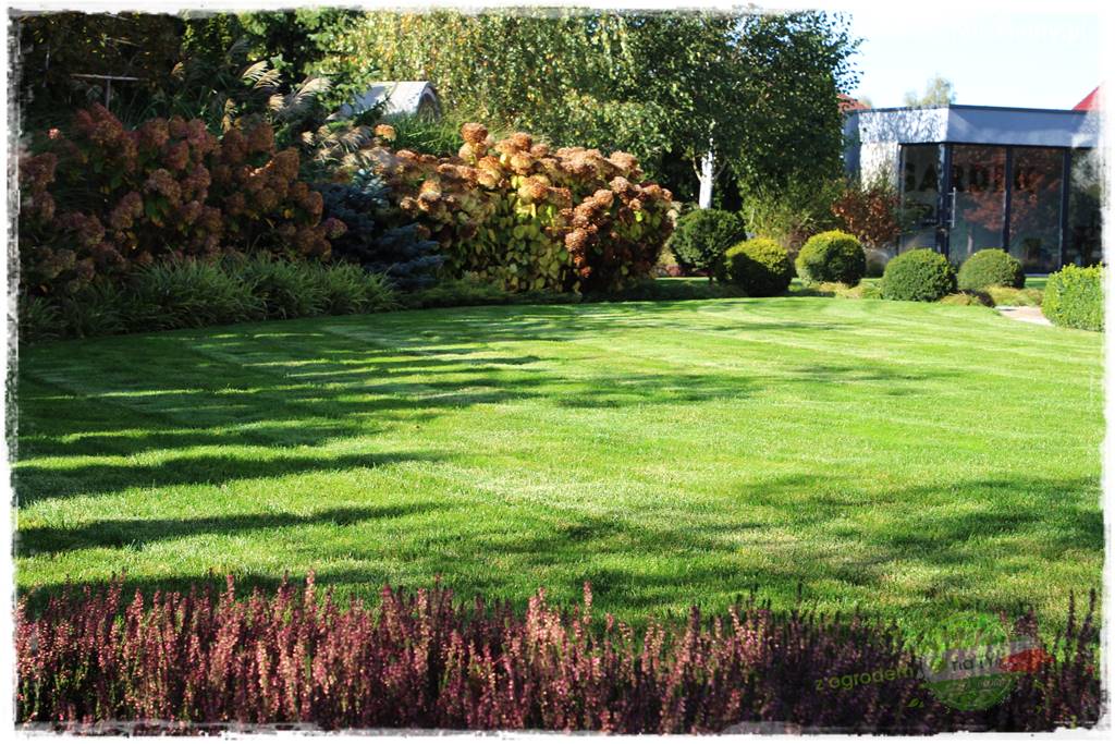 jak załatać dziury w trawniku 36 jak załatać dziury w trawniku 36