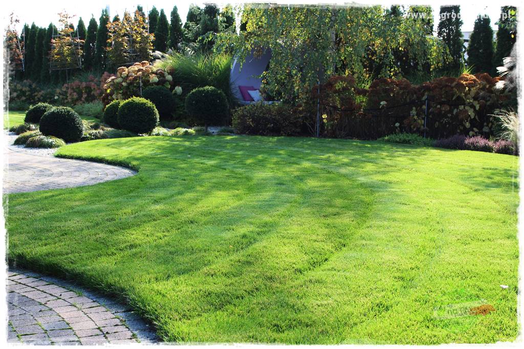 jak załatać dziury w trawniku 36a jak załatać dziury w trawniku 36a