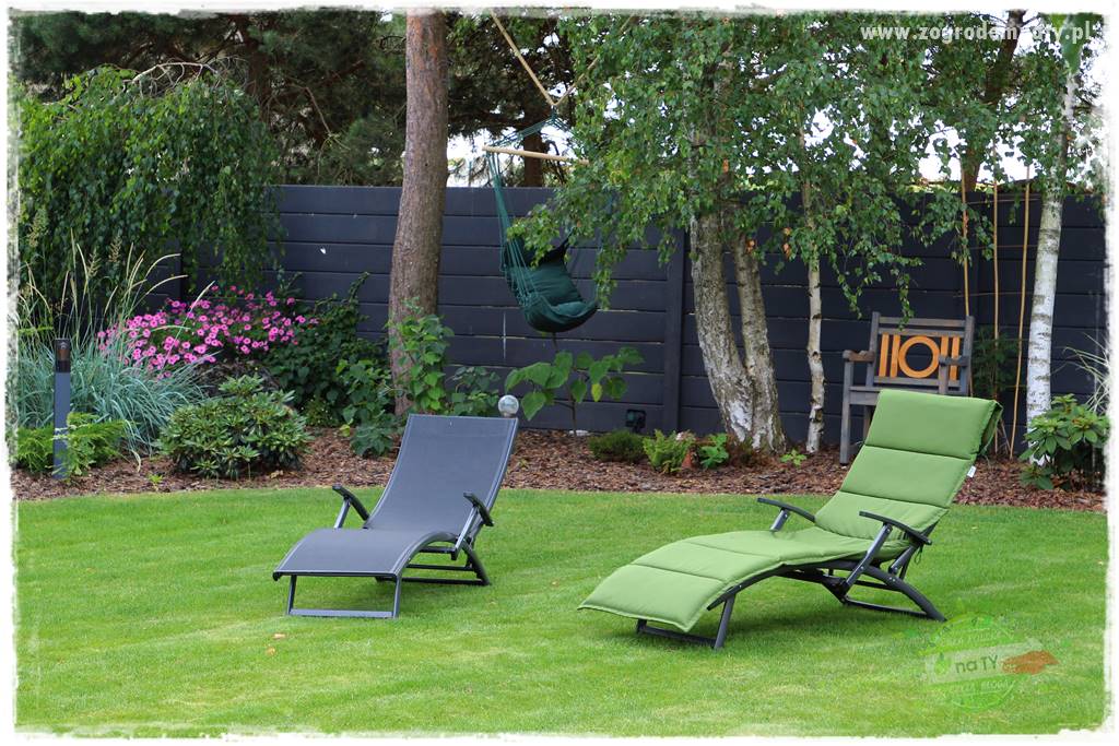 jak załatać dziury w trawniku 7 jak załatać dziury w trawniku 7