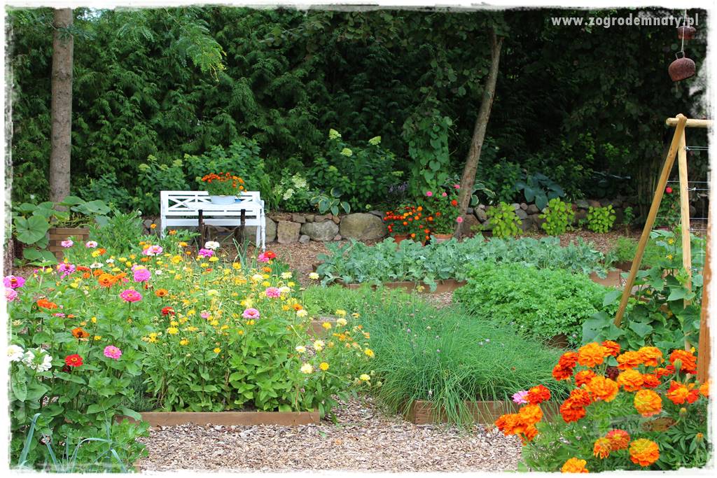 sposób na nornice 11 sposób na nornice 11