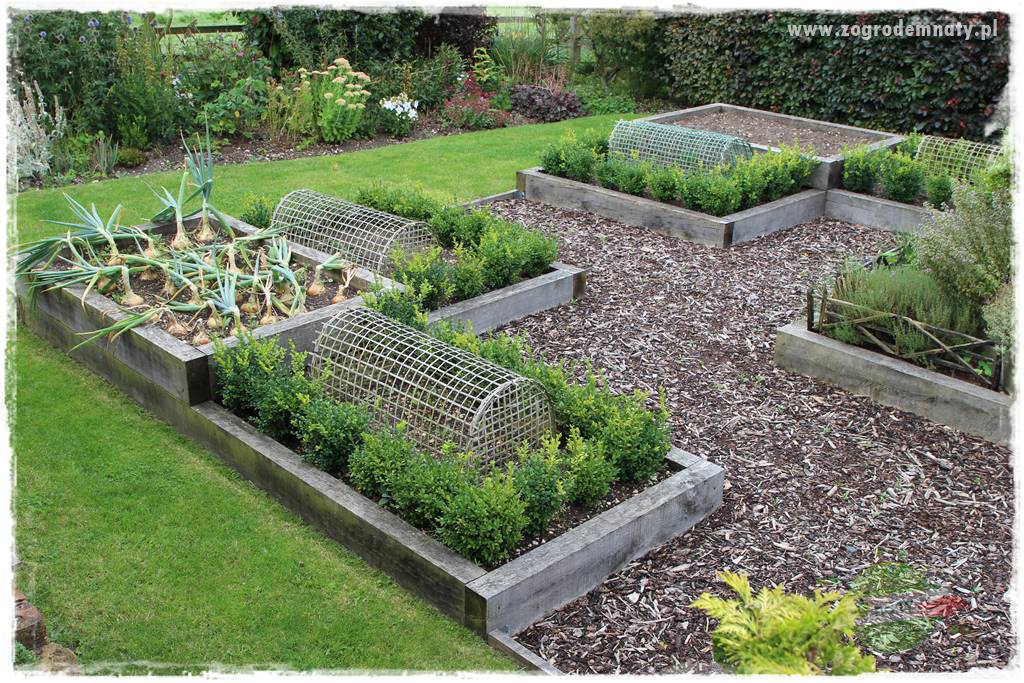 sposób na nornice 12 sposób na nornice 12