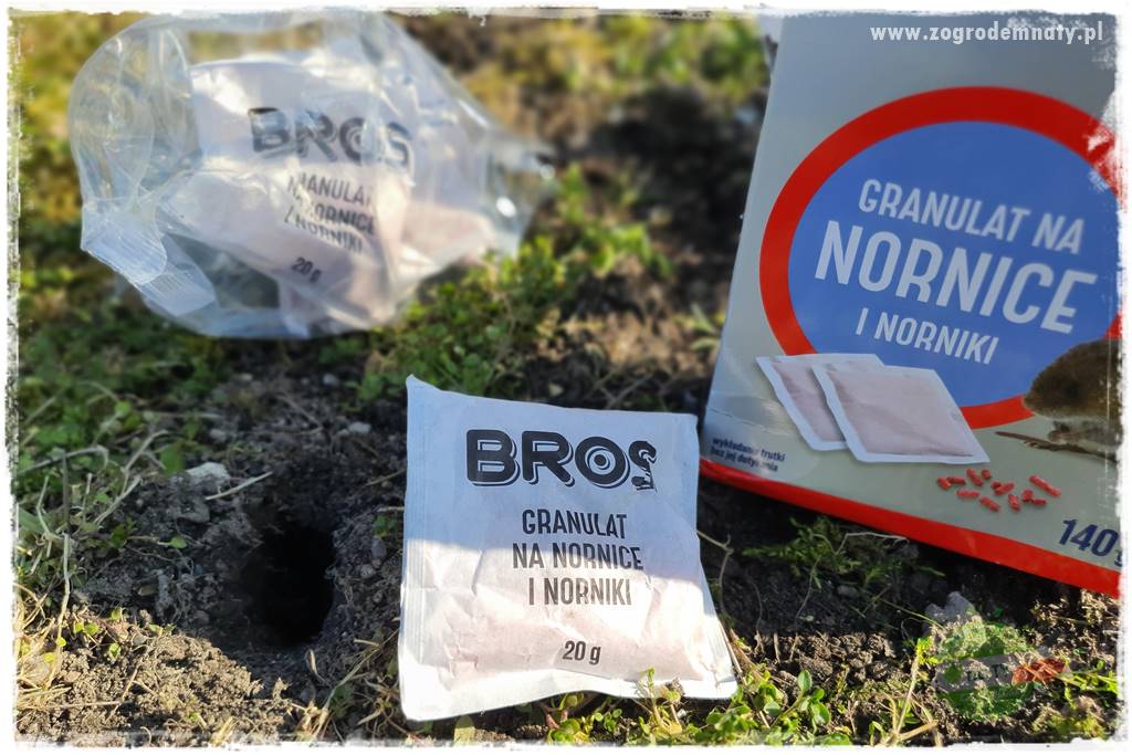 sposób na nornice 29 sposób na nornice 29