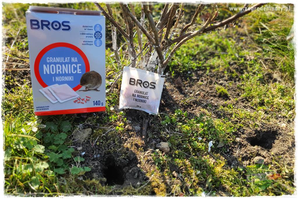 sposób na nornice 30 sposób na nornice 30