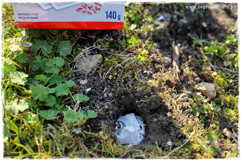 sposób na nornice 32 sposób na nornice 32