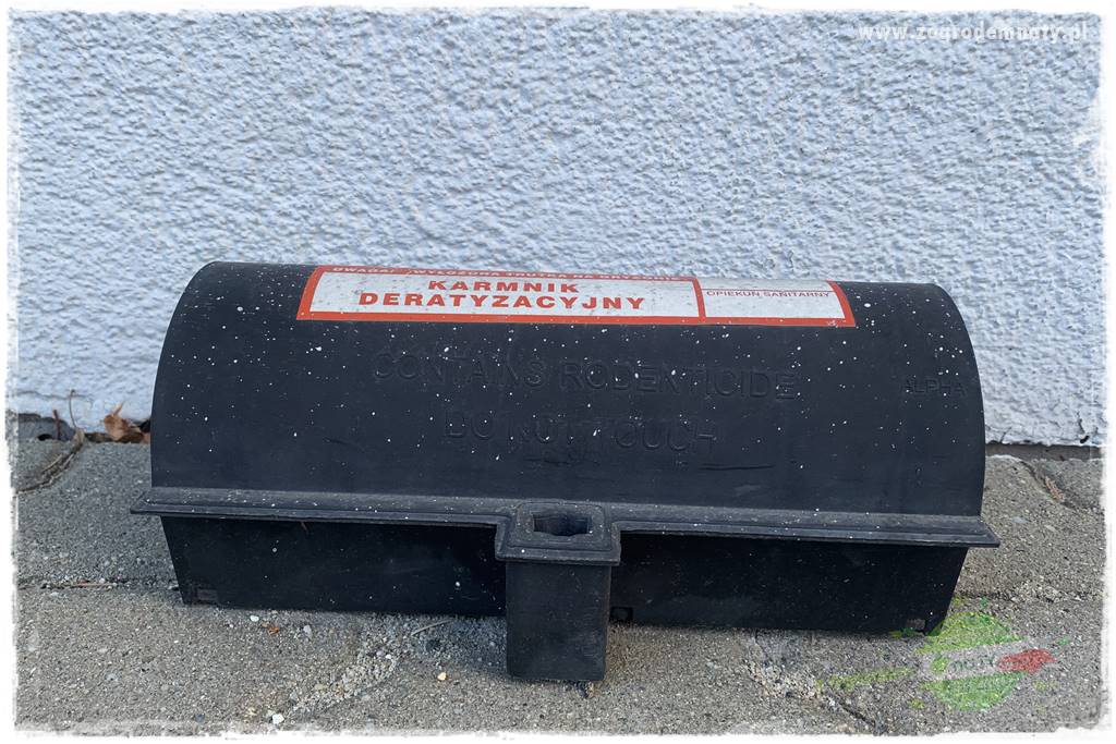 sposób na nornice 33