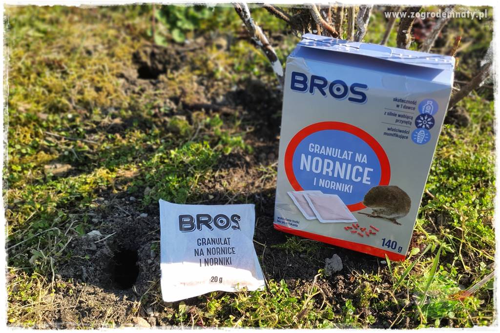 sposób na nornice 34