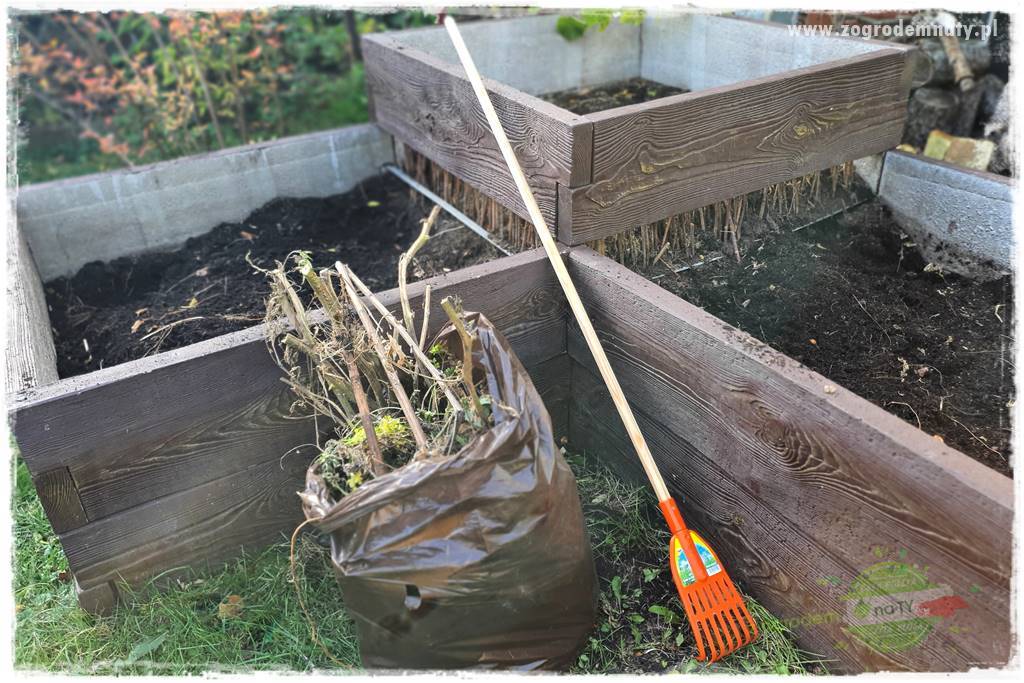 wiosenny siew pod włókniną 12