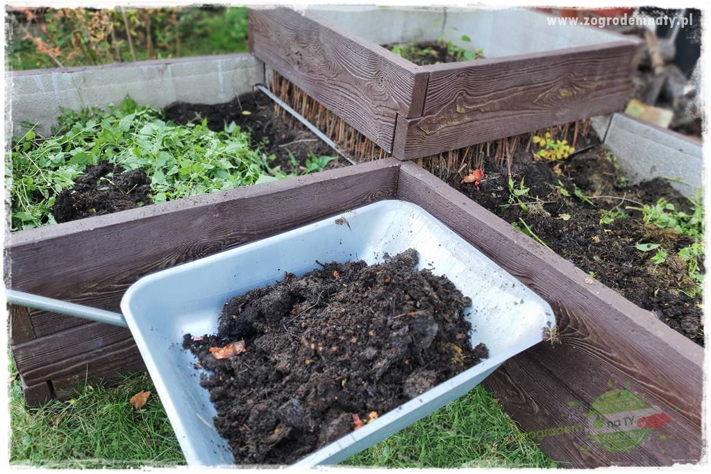 wiosenny siew pod włókniną 13