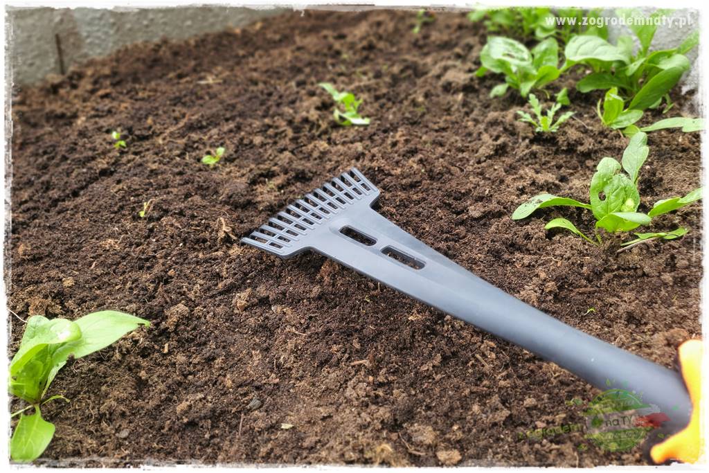 wiosenny siew pod włókniną 38