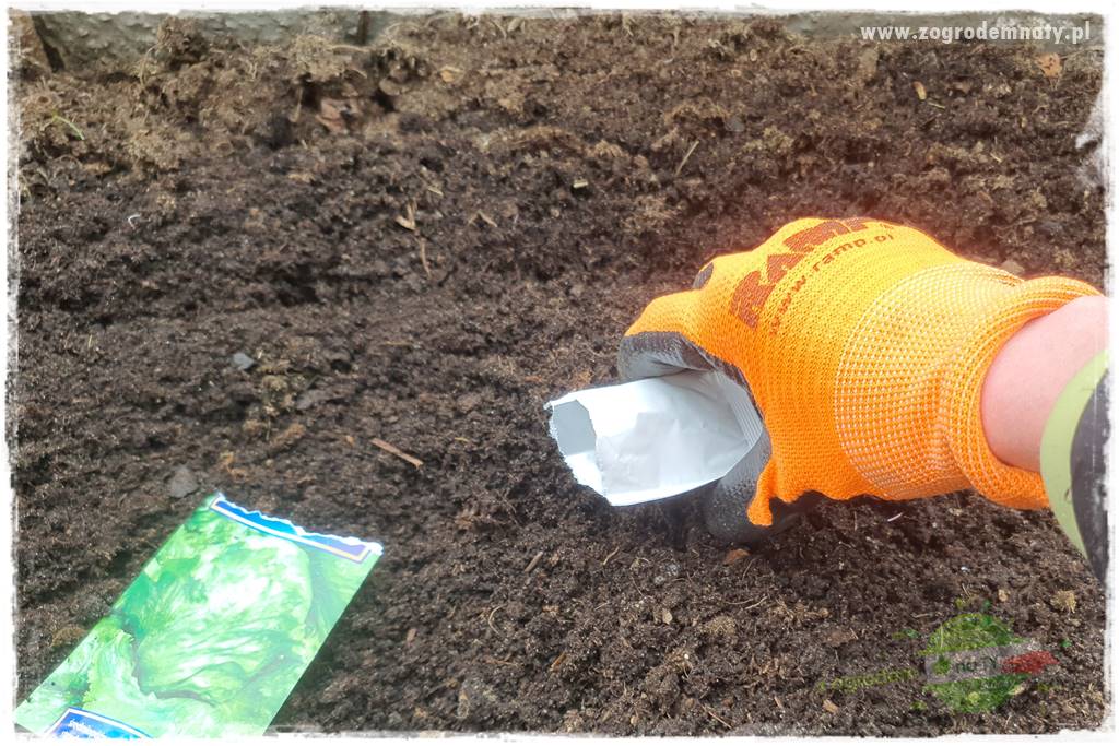 wiosenny siew pod włókniną 40