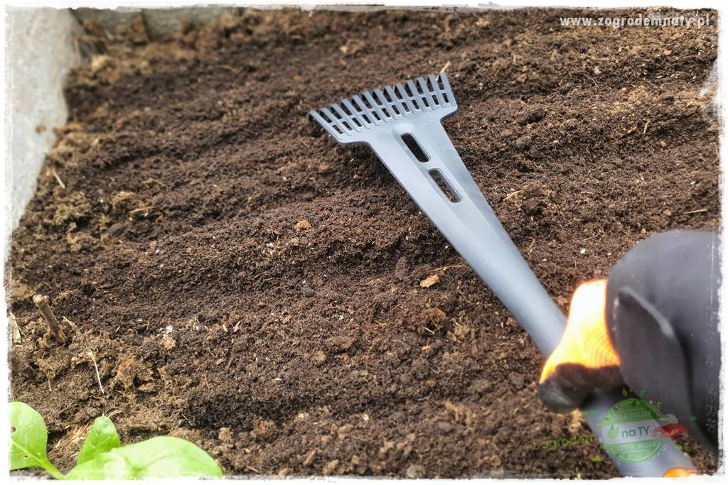 wiosenny siew pod włókniną 42