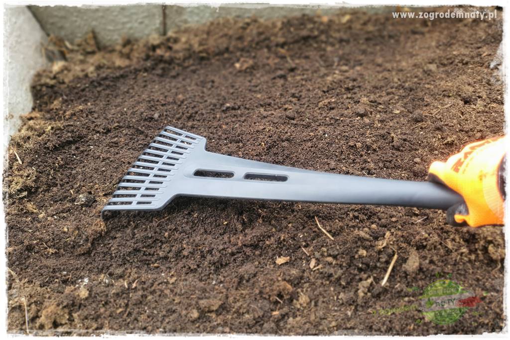 wiosenny siew pod włókniną 43