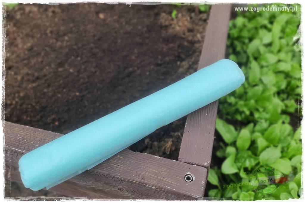 wiosenny siew pod włókniną 46