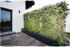 zielona ściana w donicach 10