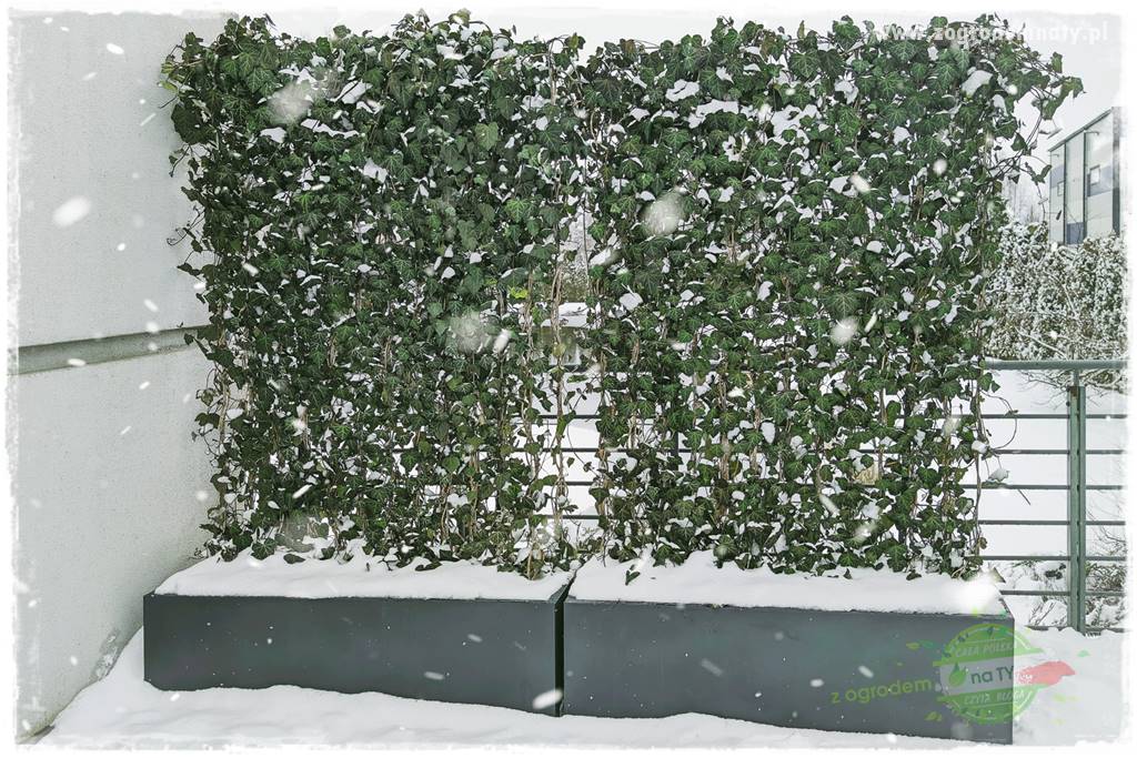 Processed with VSCO with preset