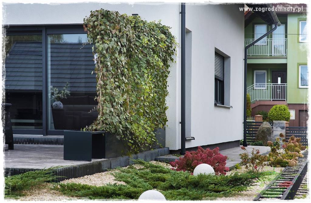 zielona ściana w donicach 13