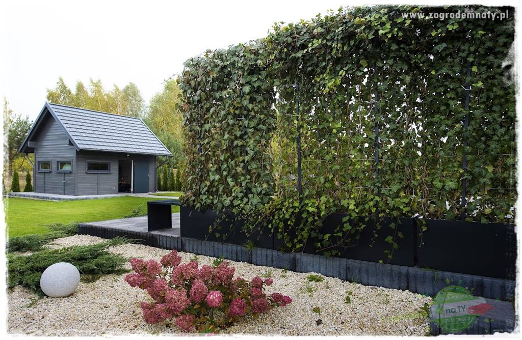 zielona ściana w donicach 17