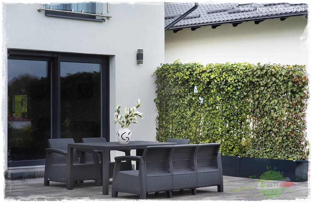 zielona ściana w donicach 24