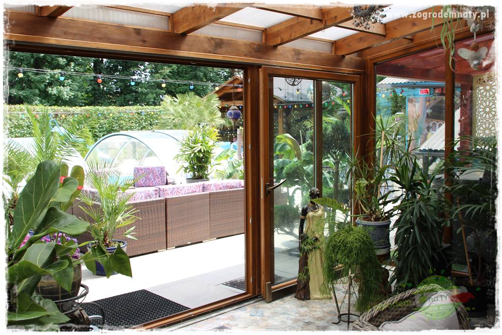 zielona ściana w donicach 3