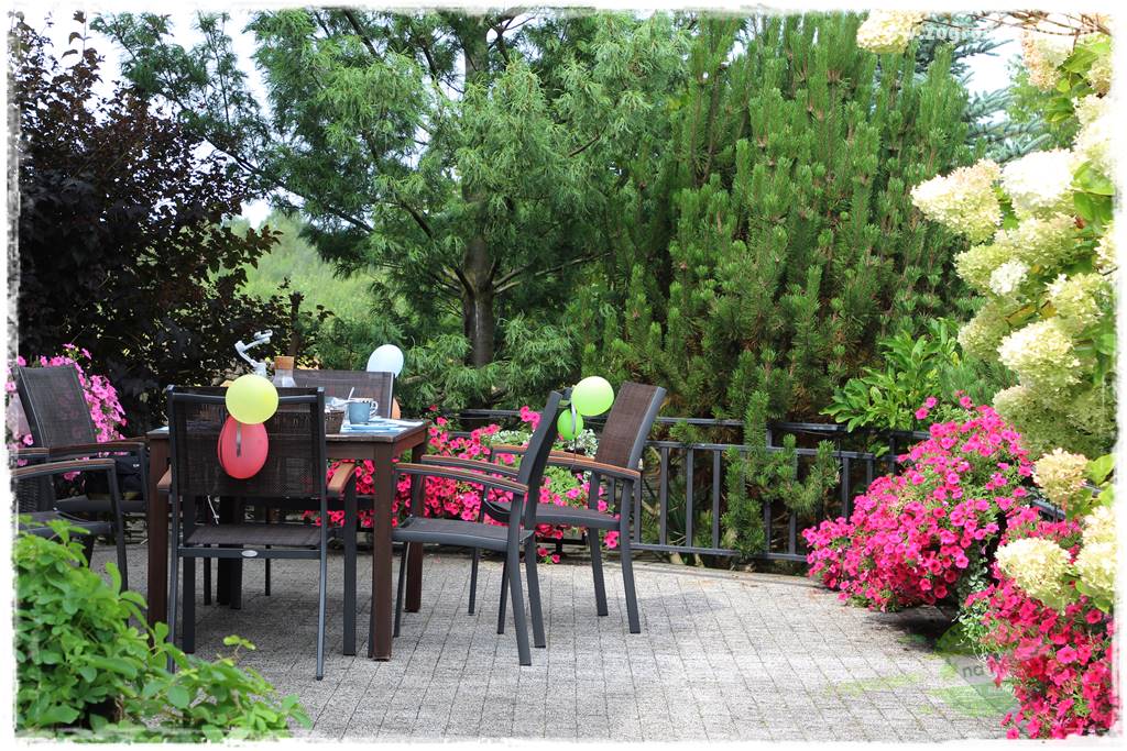 zielona ściana w donicach 5