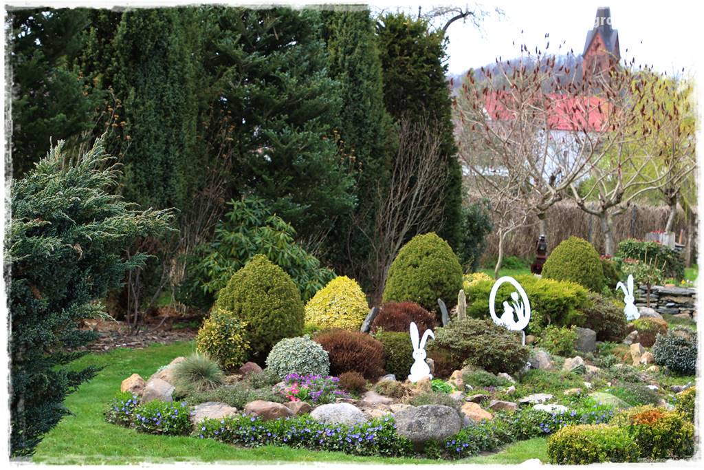 Górskie siedlisko 1