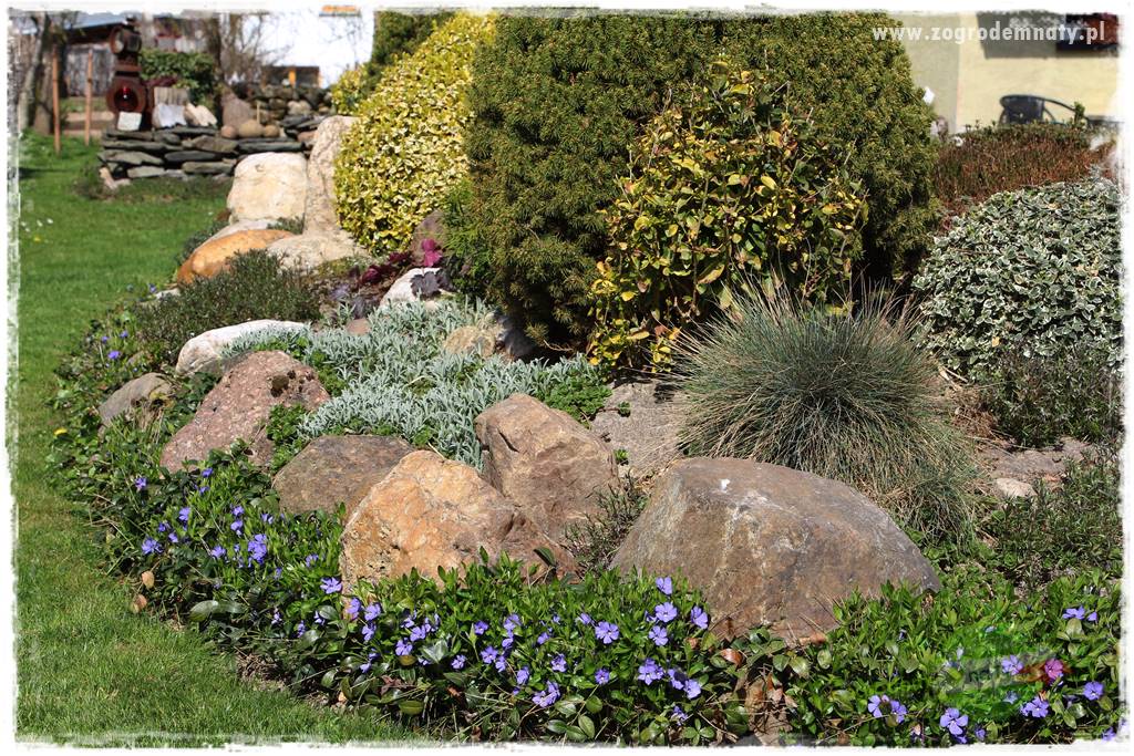 Górskie siedlisko 10