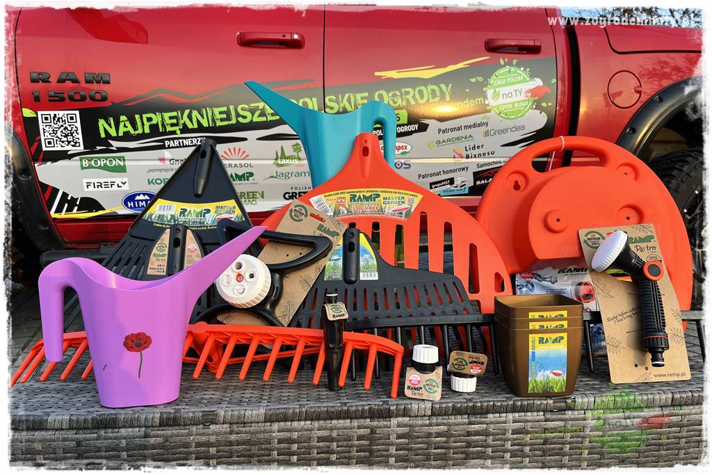 Górskie siedlisko 105