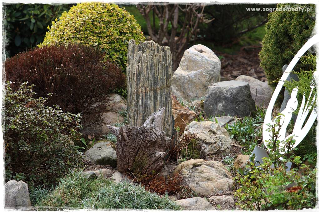 Górskie siedlisko 106