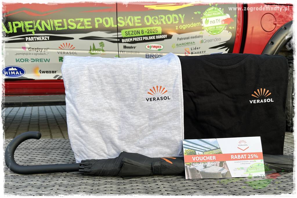 Górskie siedlisko 109