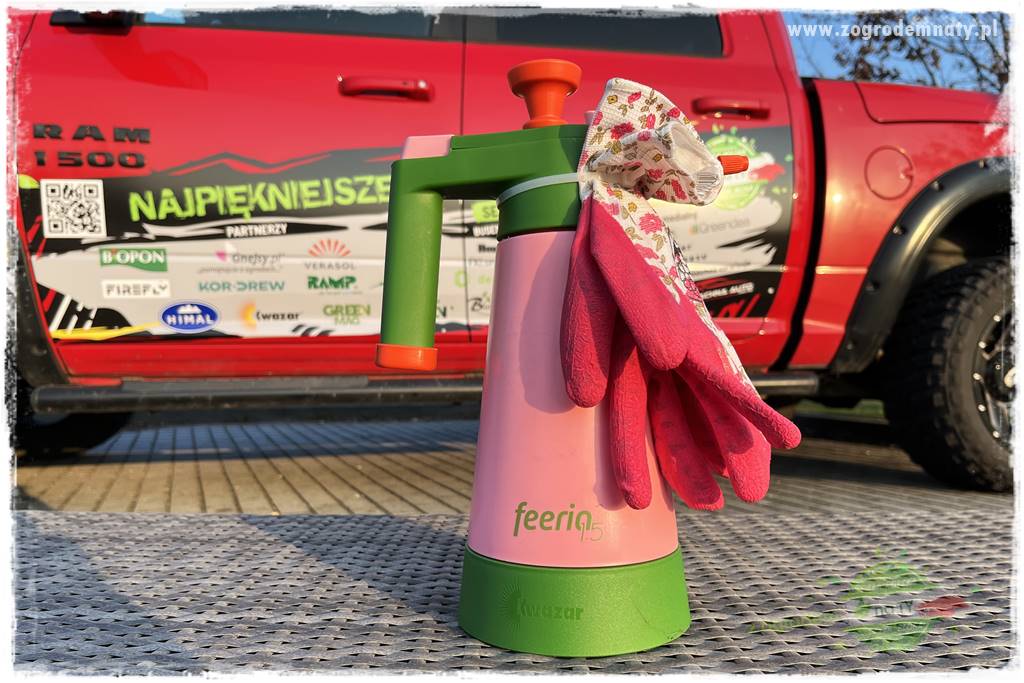 Górskie siedlisko 117