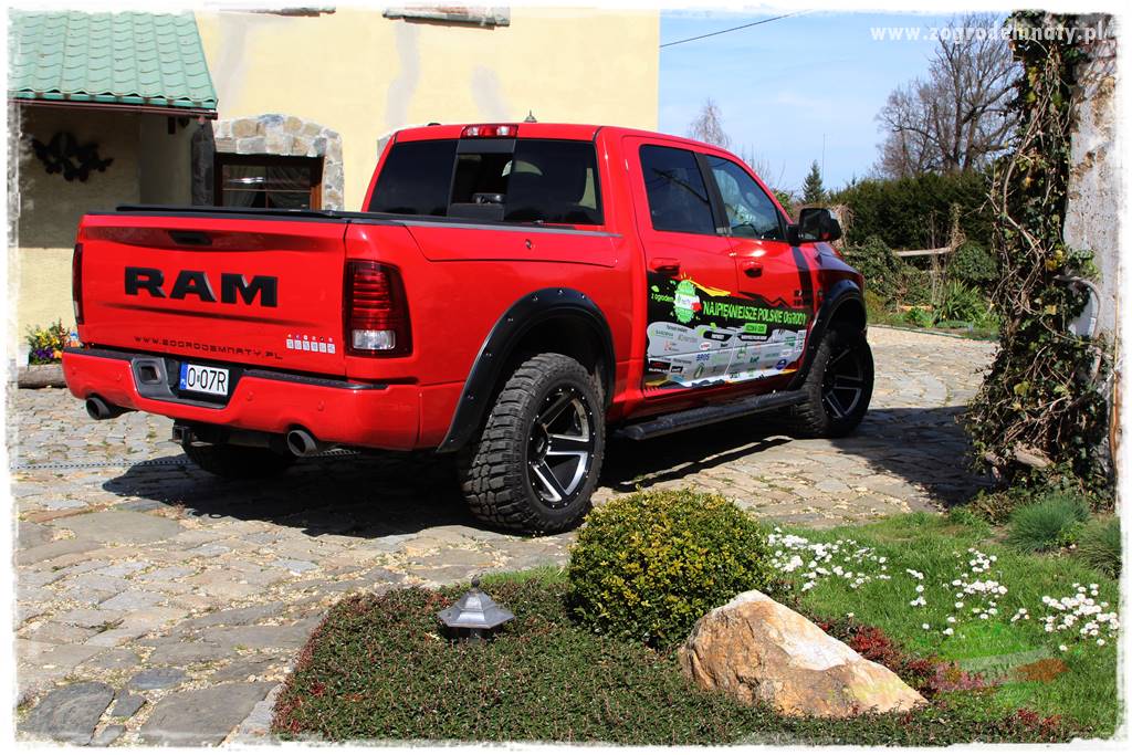 Górskie siedlisko 13