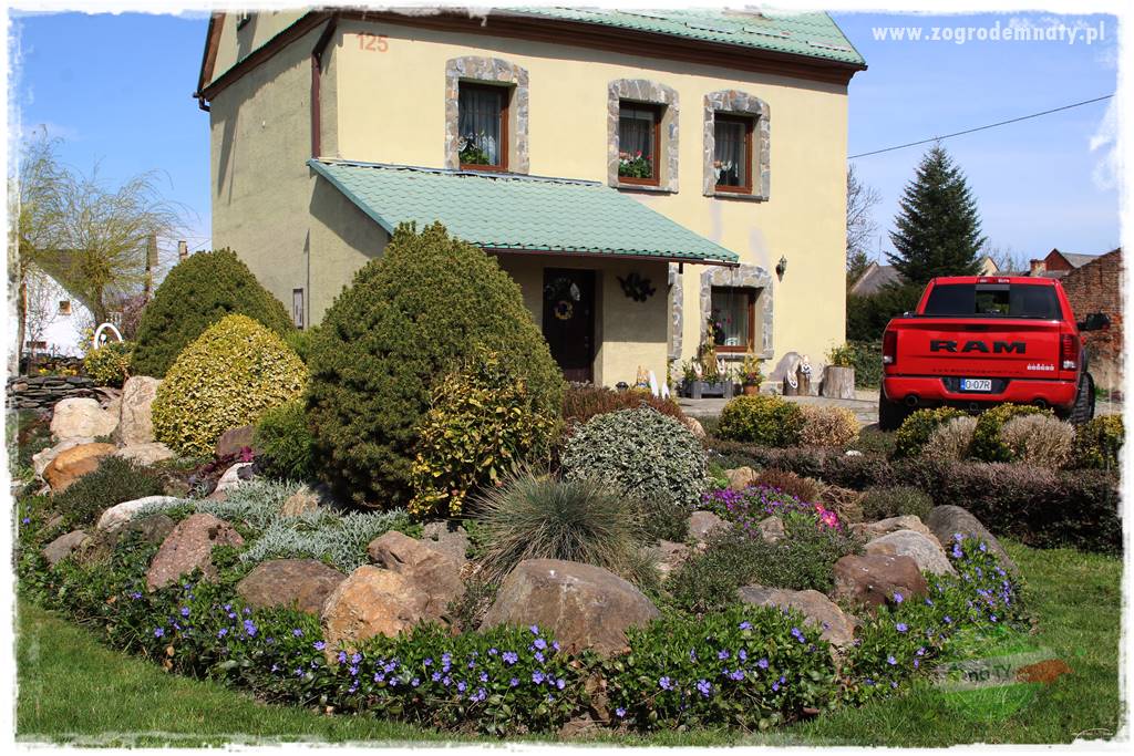 Górskie siedlisko 15